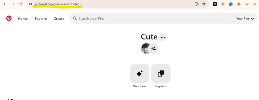 what is pinterest mobile app url