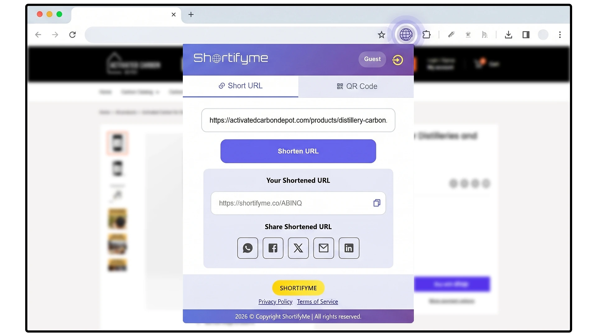 Browser Extension Visual Example