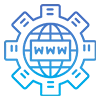 Custom Domain